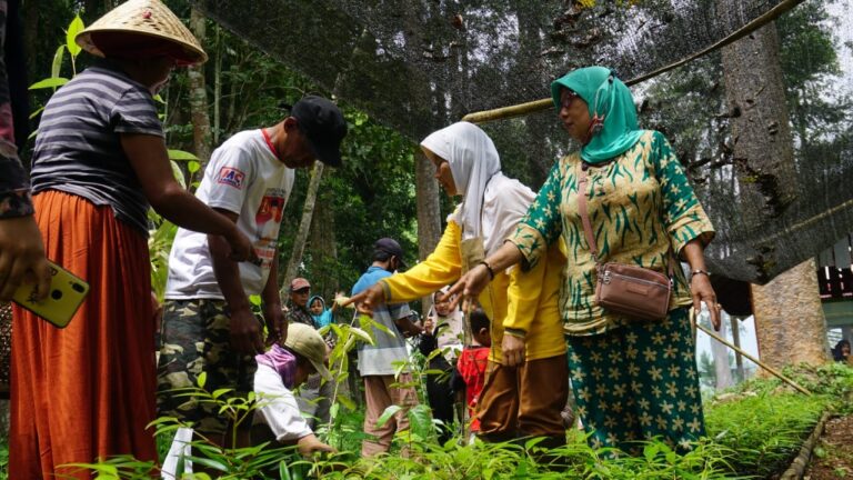 Promoting Gender-Responsive Social Forestry Management Policy and Implementation