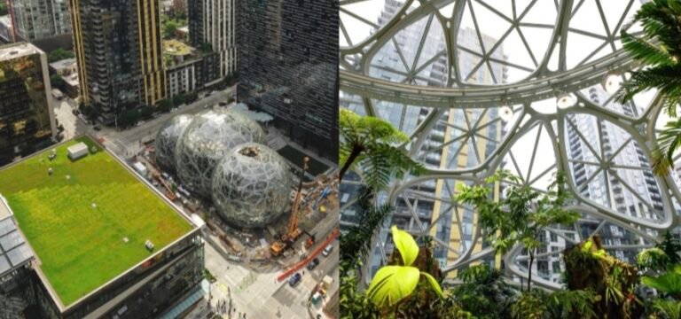 Building with Nature: Why the Global South Must Integrate Forests; Not Replace Them