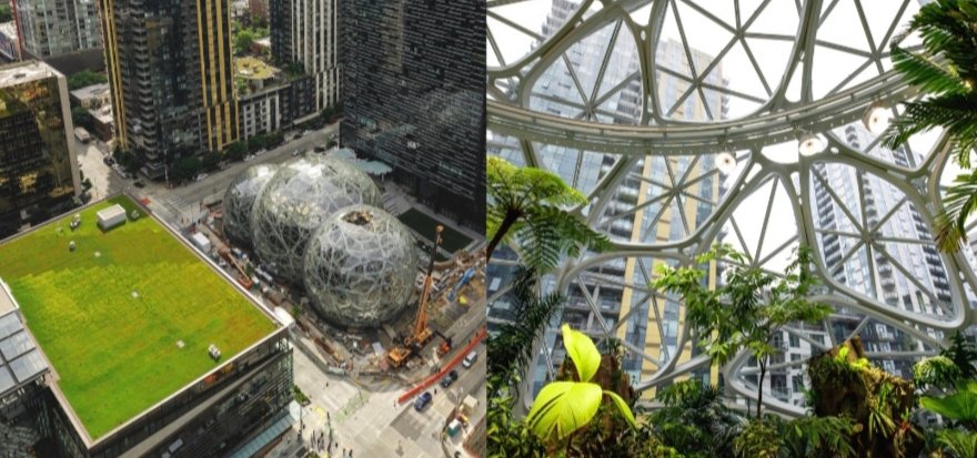 Building with Nature: Why the Global South Must Integrate Forests; Not Replace Them