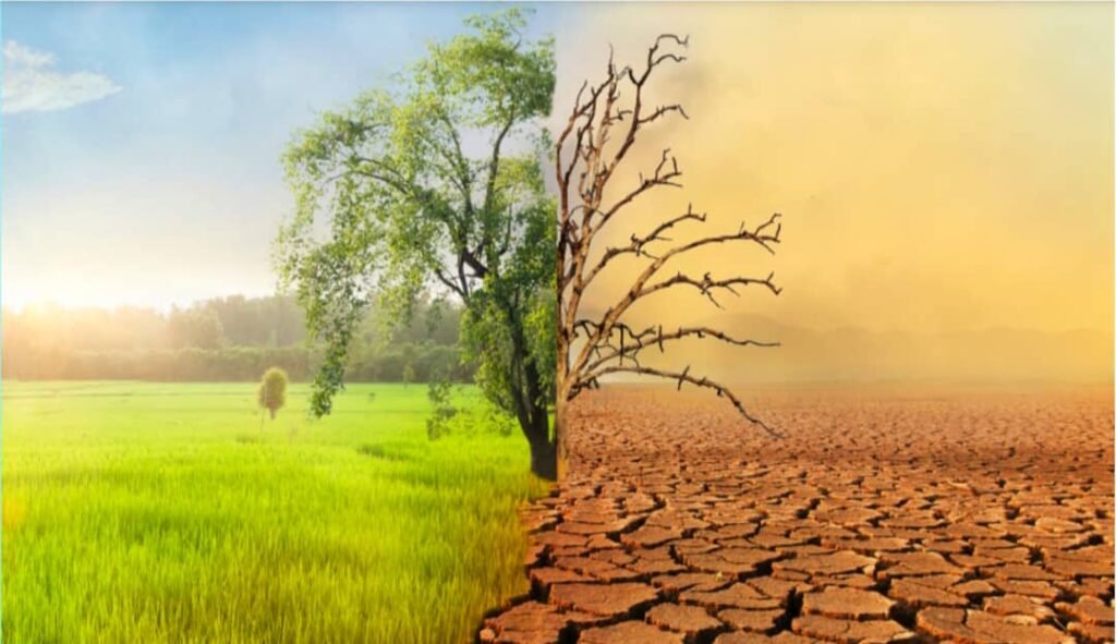 ADAPTATION IN THE SHADOWS: WHY CLIMATE FINANCE CONTINUES TO FOCUS ON MITIGATION AND HOW TO REBALANCE IT