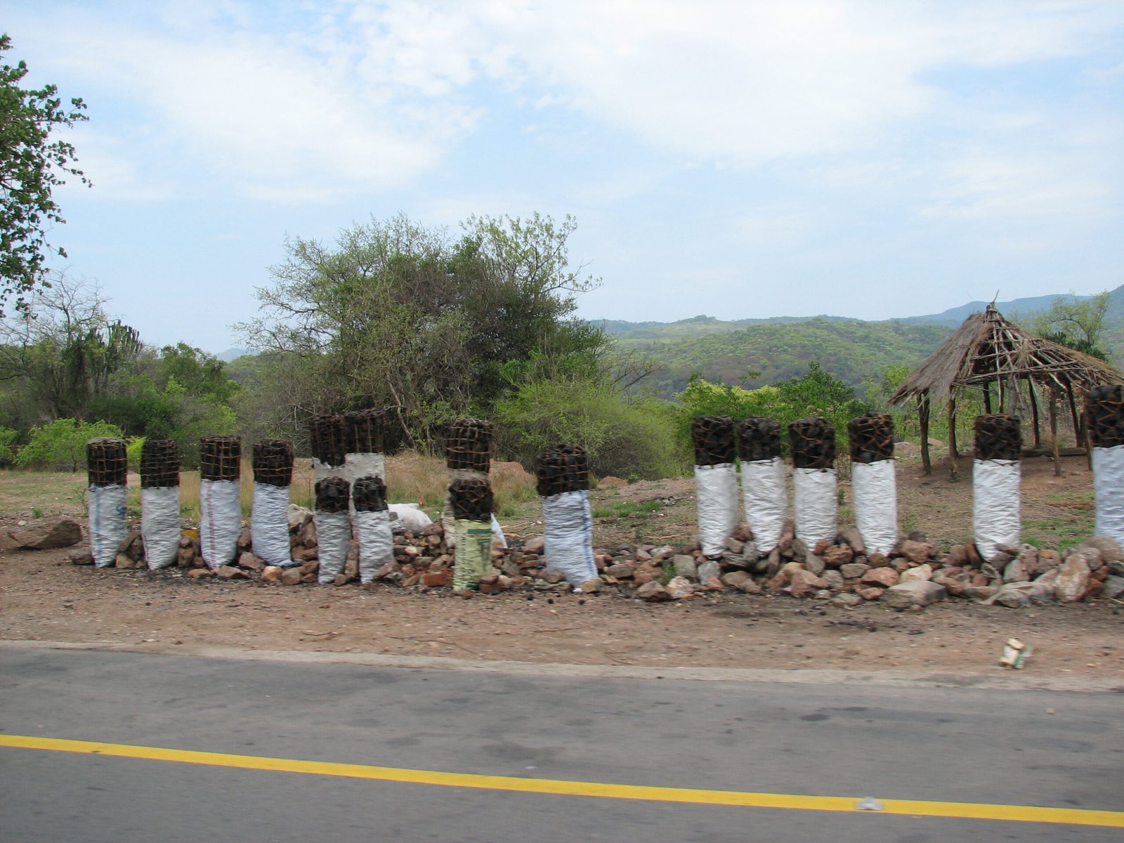 Selective environmentalism and energy transitions in Zambia