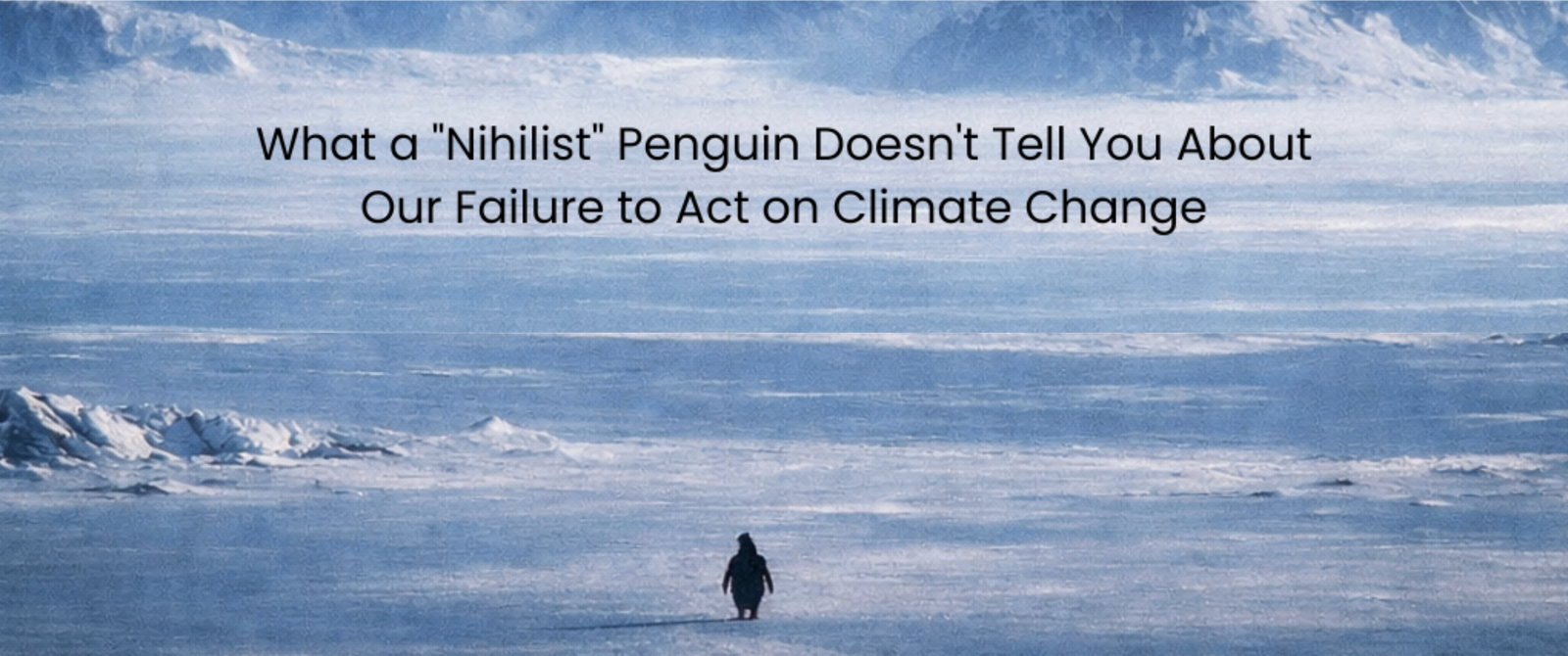 The ‘Nihilist’ Penguin That Walked Away: What a Viral Meme Doesn’t Tell You About Our Failure to Act on Climate Change