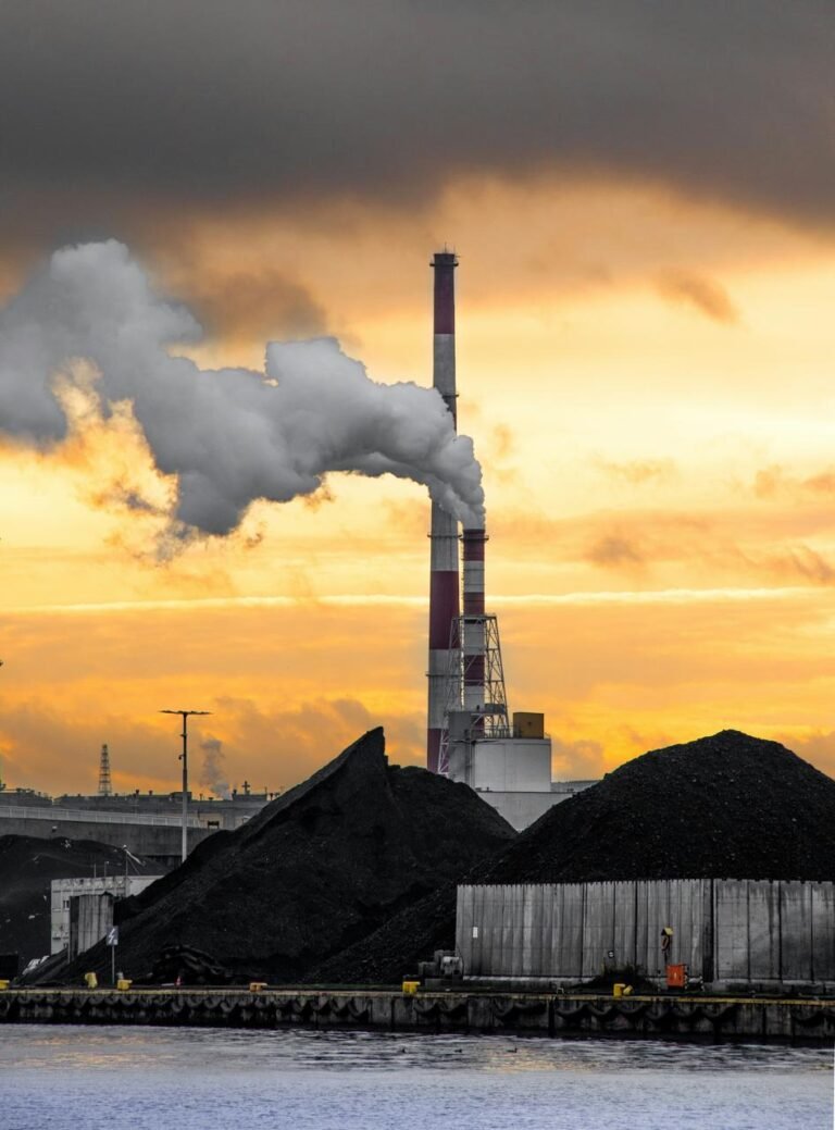 The export gateway of Indonesia: Danantara Sumberdaya Indonesia, who binds coal indefinitely.