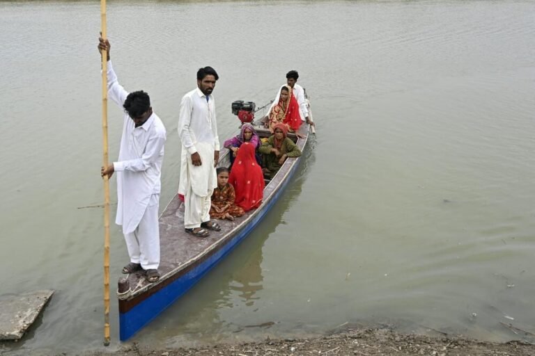The Monsoon Brides: How Climate Shocks Drive Child Marriage in Pakistan
