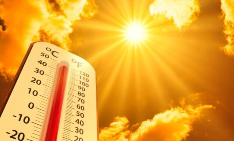 Title: The Urban Heat Penalty: How Extreme Heat Is Reshaping City Life and Health