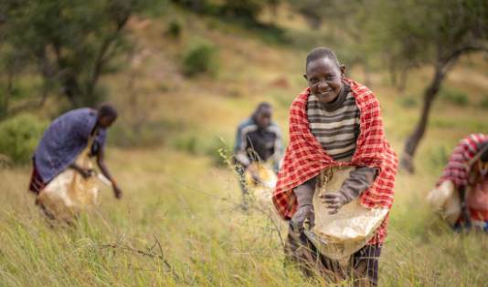  Importance of Indigenous and Local Knowledge in Improving Climate Communication