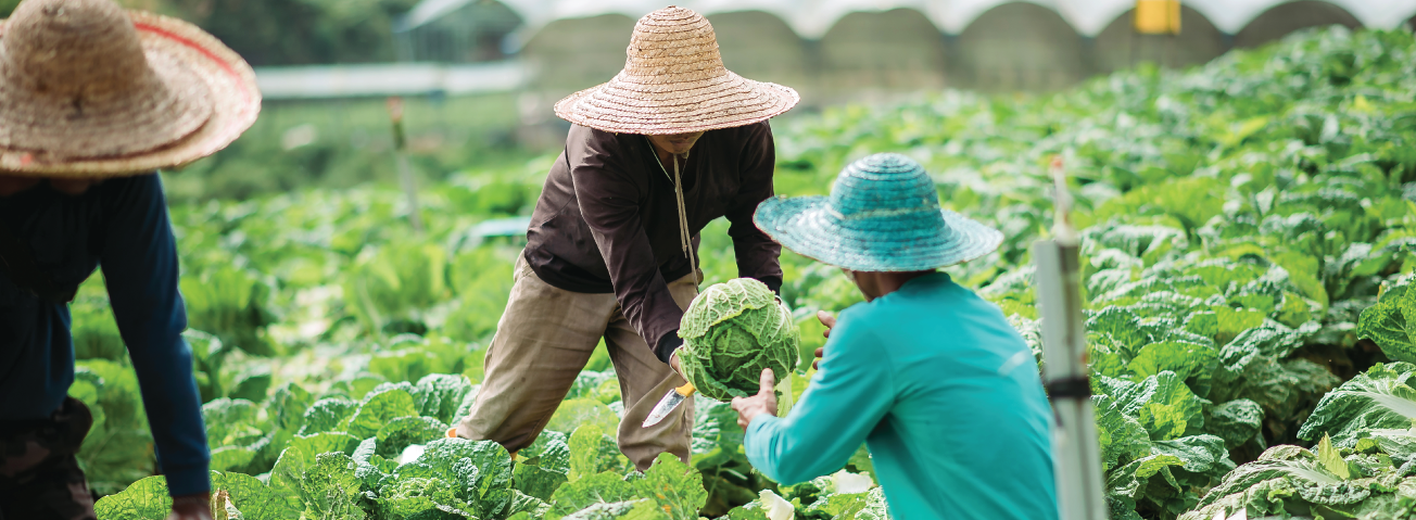 Topic: Food Security in a Warming World: Is Climate Change the Biggest Threat to Agriculture?